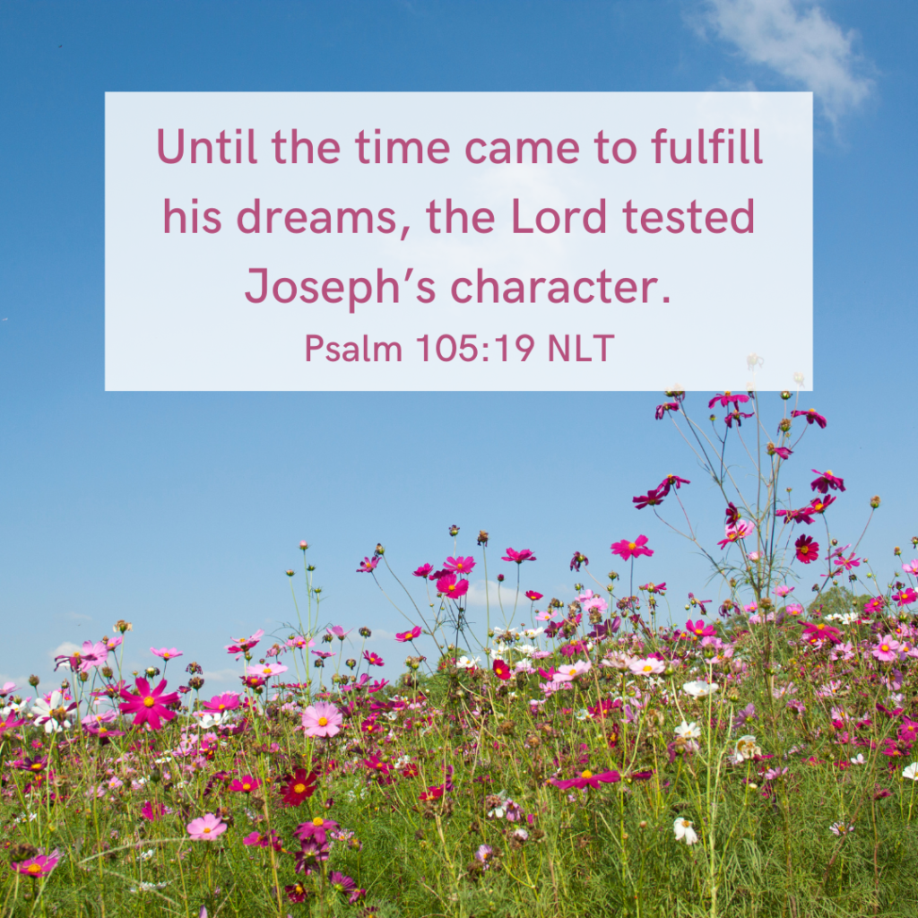 Don't Give Up on the Dream God has Given You - Faithfully Stepping